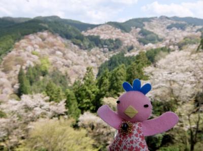 「そうだ！奈良へ行こう。」ってことで行ってきました♪＝吉野山でお花見編＝2017年4月