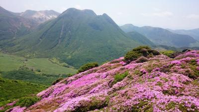 2017 6.9～6.13　九重連山ツツジ　2泊3日～平治岳･三俣山～