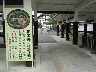 【隔月京都】 2017.05 相国寺