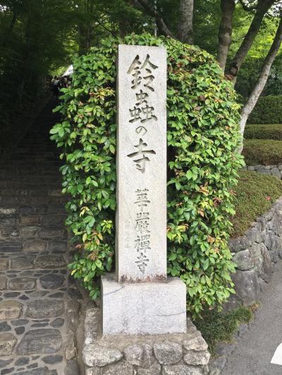 1泊2日 京都旅行　貴船と鈴虫寺の旅行記