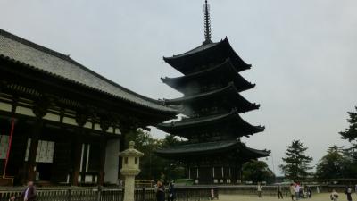 　春の奈良公園　東大寺　興福寺　のんびり散策