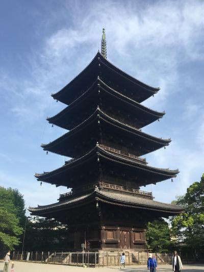 京の休日 ～2017春 鳥羽の藤・東寺五重塔etc～