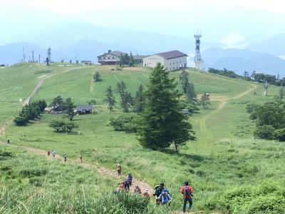 2017夏 梅雨の中休みに伊吹山登山～お花畑の百名山～