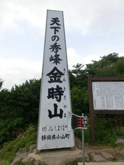 公時神社から登る金時山　～ゆっくり登山～