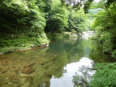 今年は花に縁がない？？奥津渓と美咲花山園あじさいウォークツアー・日帰り編