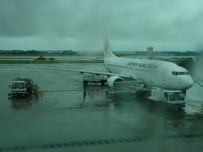 成田着陸前にピンポイント豪雨、JL804便：台湾(桃園)・日本(成田)線で一時帰国