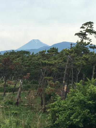 東海道五十三次を歩く旅 第六巻