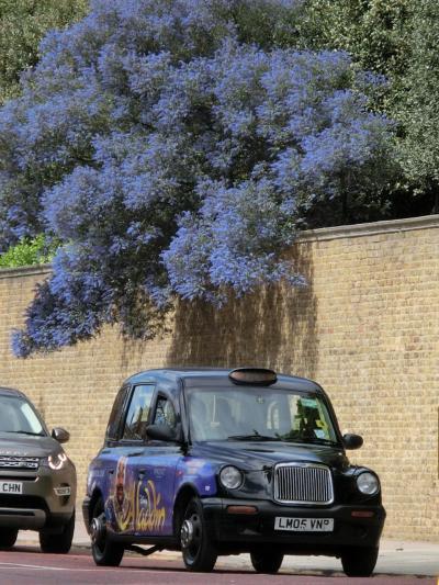 2017年ＧＷは初イギリス・ロンドンへ！初めてのくせに地図に頼らず気の向くままにふらふら散策♪