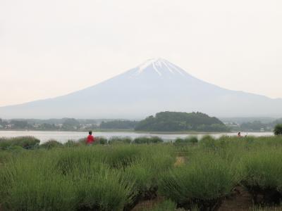 2017 孫と行く！5歳児の初めての富士山