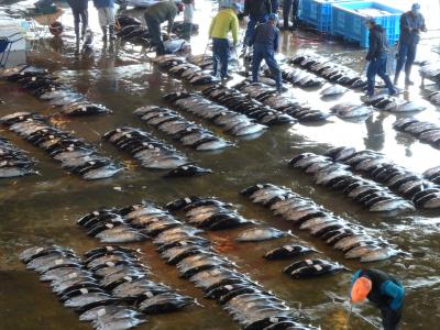 和歌山巡り２日目～熊野本宮大社～