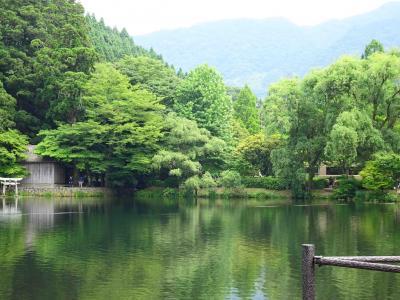 大分湯布院、特急「ゆふいんの森」＆「ゆふ」乗り比べの旅