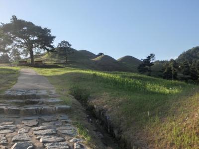 1泊2日 韓国 高霊郡 大伽耶国(2)王陵展示館・池山洞古墳群の丘ハイキング