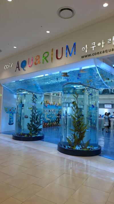 2017.6 母と娘でソウル　江南　COEX コエックス　アクアリウム　水族館に行きました