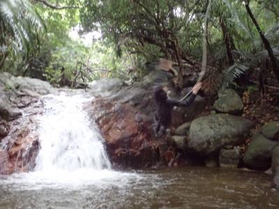 夏を求めて南の島へ！　2日目