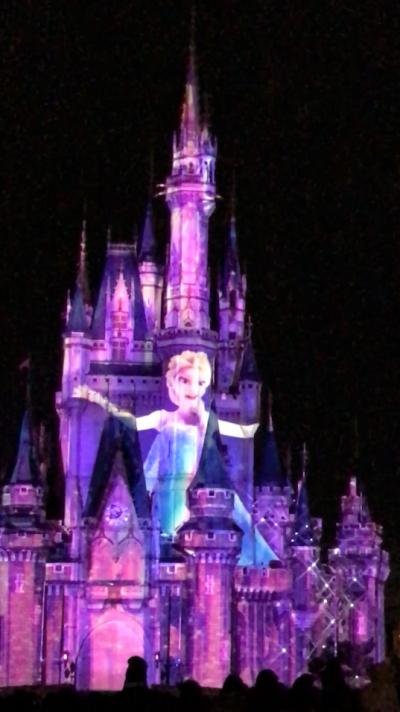 フローズンファンタジー(千葉県)