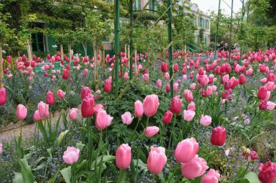 春の花咲き誇るモネの家　in　ジヴェルニー