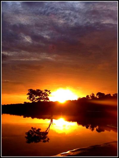 とうとう来ちまった...「地球の秘境：アマゾン〔Amazon Ecopark Lodge編〕」...5...（マナウス／ブラジル）