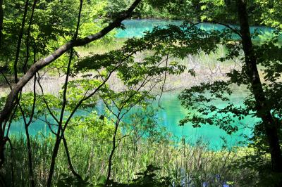 ◆初夏の裏磐梯湖水紀行・瑠璃色のラビリンス五色沼