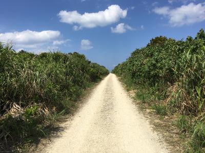 久高島・那覇市（H29沖縄離島旅行１）　ー日出る方角に横たわる神々の島ー