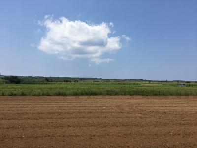 粟国島・那覇市（H29沖縄離島旅行４）　ー逆ハート型の長閑な島ー