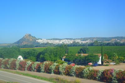 妻と行くスペイン(6-①)　コルドバ行きの（バス＋AVE）で「スペインの車窓から」美しい風景を楽しむ