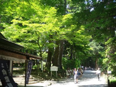 さわやか東北大縦断・後半