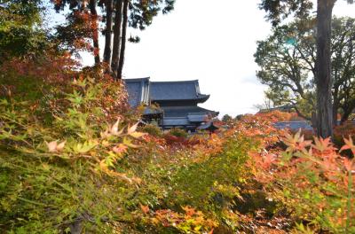 出張ついでに京都観光(嵐山、東福寺、伏見稲荷大社)