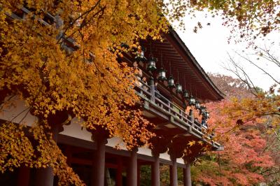 秋の奈良（談山神社、室生寺、曽爾高原）