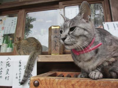 Day4 奈良・京都 京都骨董市の甘い罠