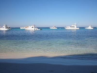 Australia Perth ロットネスト島 サイクリングとクォッカ