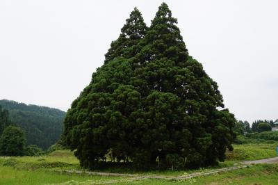 鳥海山～トトロの木～大噴水～熊野神社～空気神社～御釜～山寺～銀山温泉