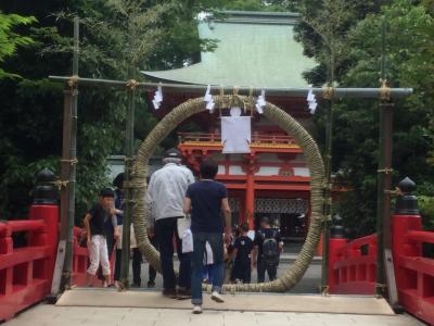 2017年  夏越の祓い 「茅の輪くぐり」  ～武蔵一宮 氷川神社