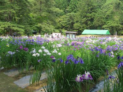 北海道・東北旅行最終日　平泉を訪ねる