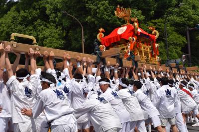 2017初夏の京都　下御霊神社還幸祭と京都和久傳の花山椒