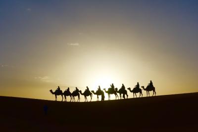 サハラ砂漠の朝日鑑賞　ラクダに乗る