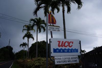 はじめてなのに、二度目のハワイ島【３】「UCCコーヒー園」と「マンタツアー」