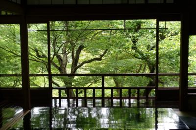 2017初夏の京都～涼を求めて八瀬、瑠璃光院の青紅葉