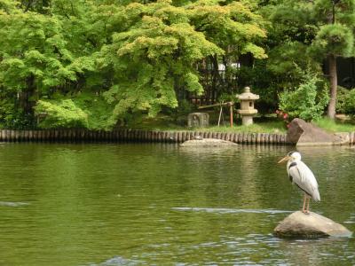 江戸川平成庭園♪～２０１７～