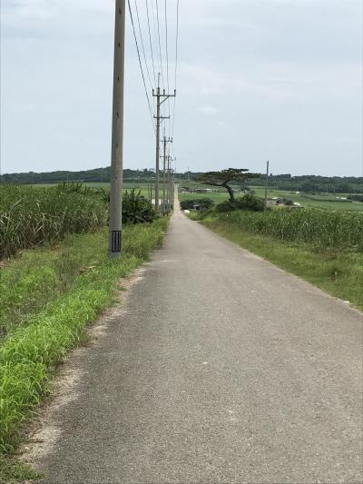 八重山諸島へひとり旅　⑤不思議な出会いが待っていた小浜島