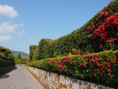 鹿児島－知覧－