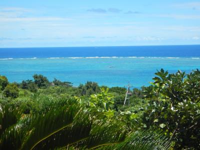 憧れの石垣島へ行ってきました (その３)