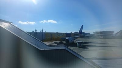 ANAビジネスクラスで行く　シンガポール1泊4日の旅　①