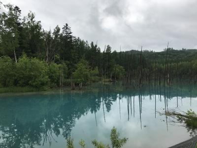 札幌拠点に3泊4日で北海道をぶーらぶら