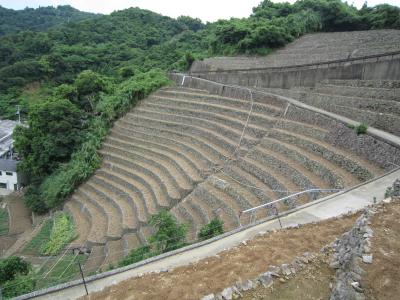 2017 初夏 愛媛  宇和島  遊子水荷浦の段畑  道の駅