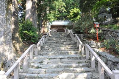 お母さん、お遍路って、これでいいのかなあ？　《　徳島県・２３か寺　》