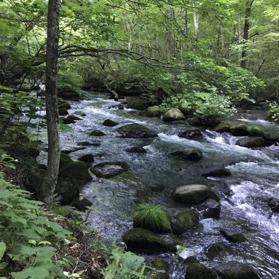 いくぜ、東北。八戸～奥入瀬へ夏満喫の週末旅！