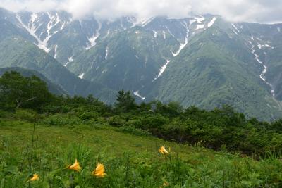 白馬五竜トレッキングで高山植物を満喫!!