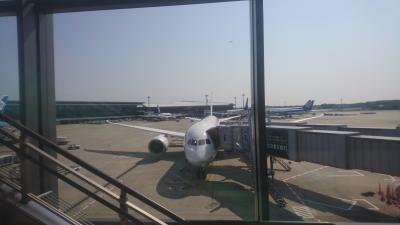 ANAビジネスクラスで行く　シンガポール1泊4日の旅　②