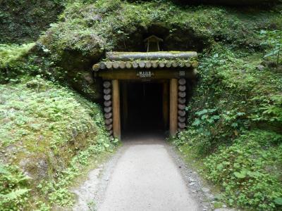 何があるのか隠岐の島、ついでに石見銀山も③､2017年６月