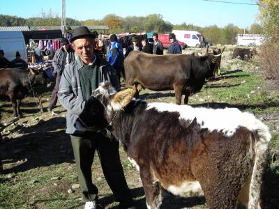 2012年10月　ルーマニア2つの世界遺産～マラムレシュの木造教会群＆ブコヴィナの5つの修道院　4日目